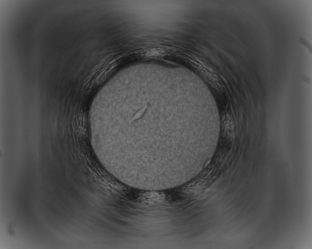 X0000097460421200803201430