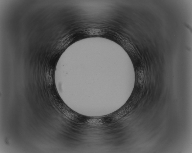 X0000097460422200803201430