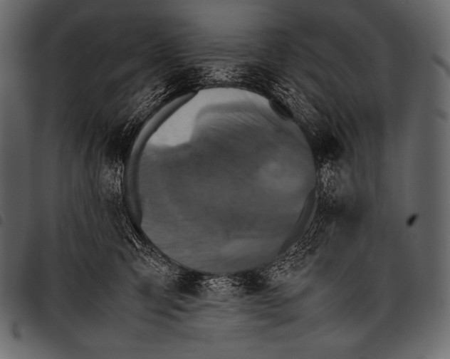 X0000097460423200803201430