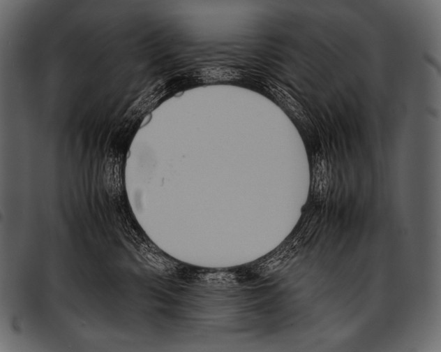 X0000097460426200803201430