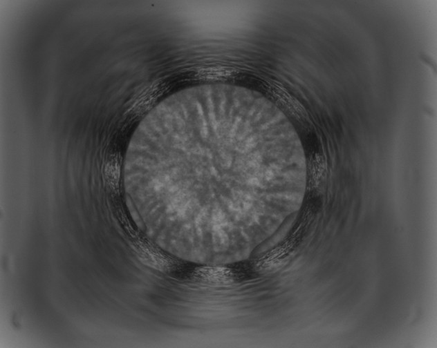 X0000097460427200803201430