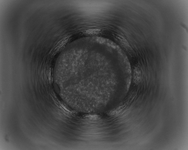 X0000097460428200803201430