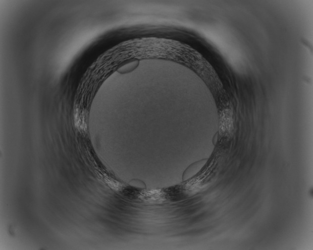 X0000097460431200803201430