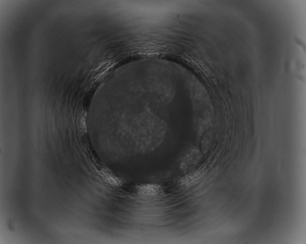 X0000097460432200803201430