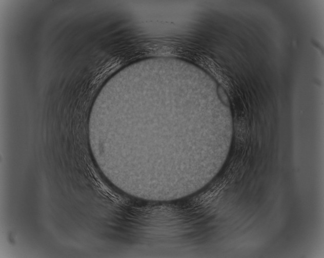 X0000097460433200803201429