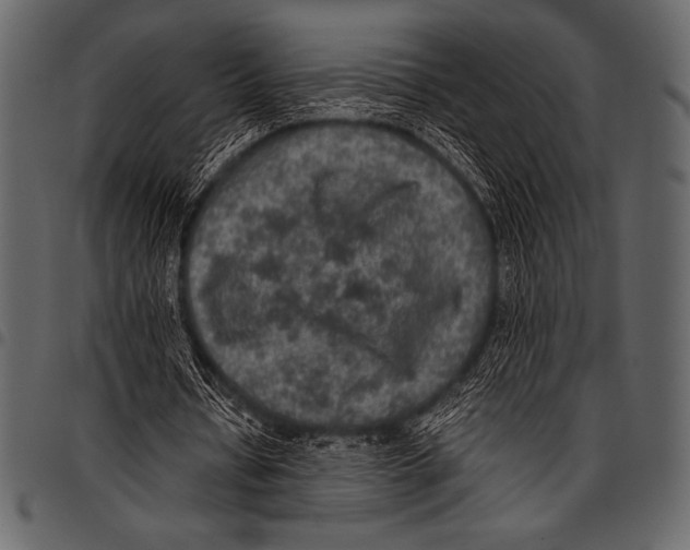 X0000097460434200803201429