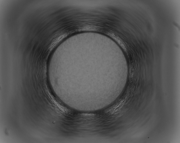 X0000097460437200803201429