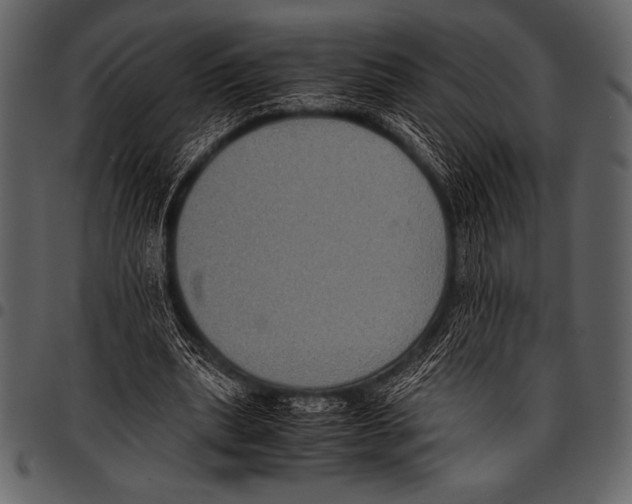 X0000097460439200803201429