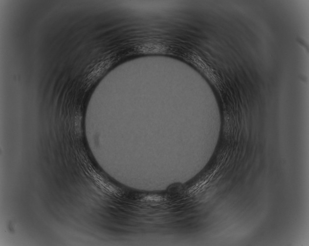 X0000097460441200803201429