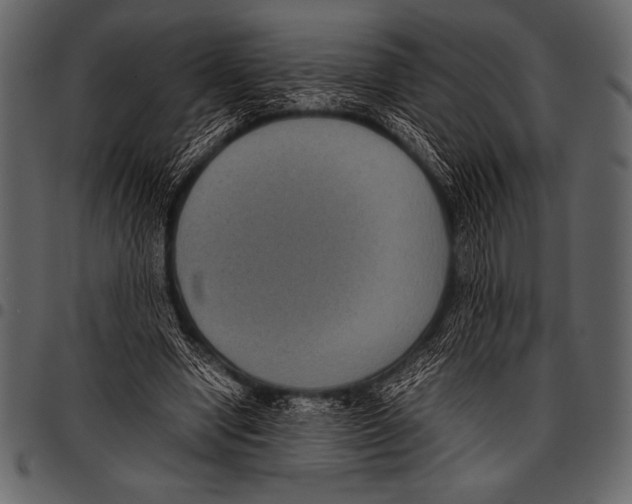 X0000097460442200803201429