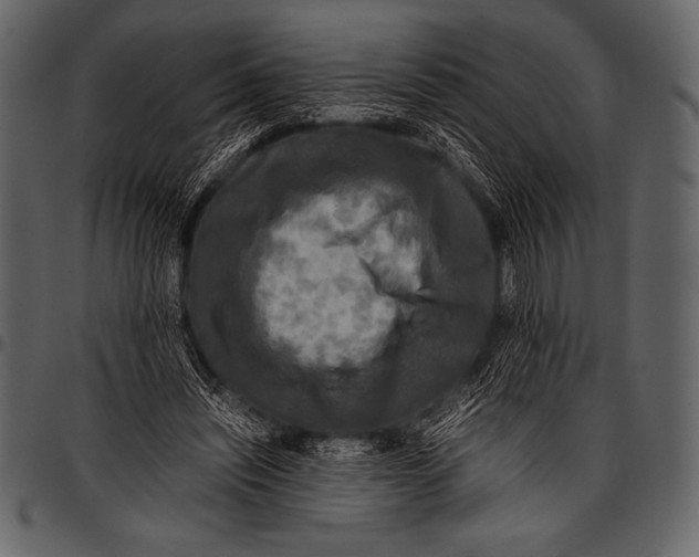 X0000097460444200803201429