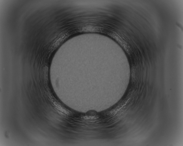 X0000097460445200803201429