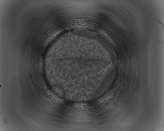 X0000097460446200803201430