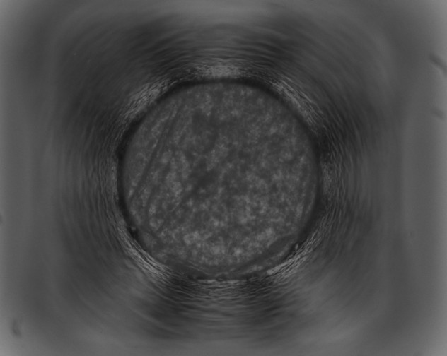 X0000097460447200803201430