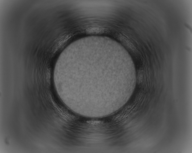 X0000097460448200803201430