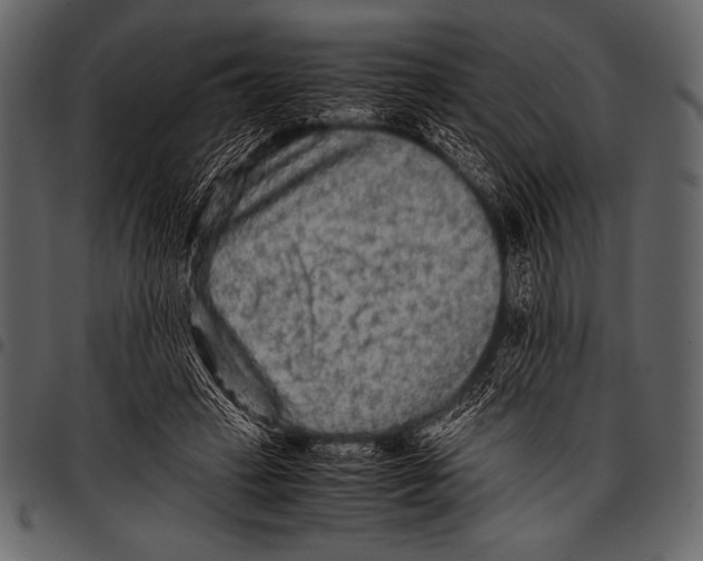 X0000097460449200803201430