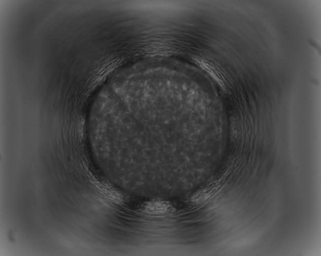 X0000097460451200803201430