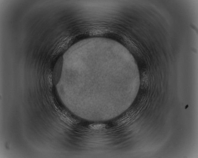 X0000097460452200803201430