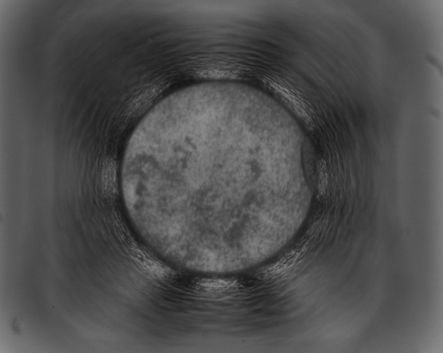 X0000097460453200803201430