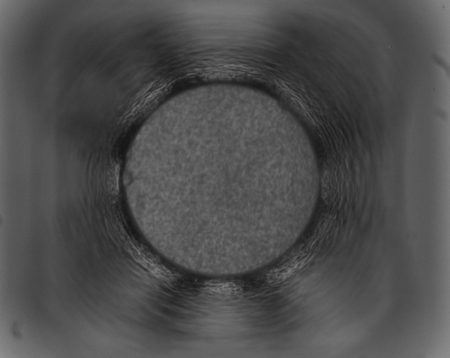 X0000097460454200803201430