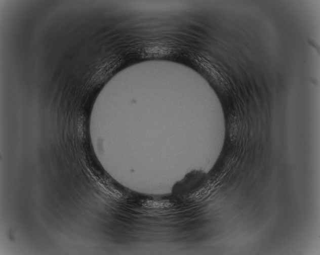 X0000097460455200803201430