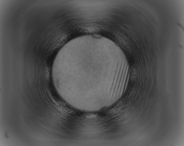 X0000097460456200803201430