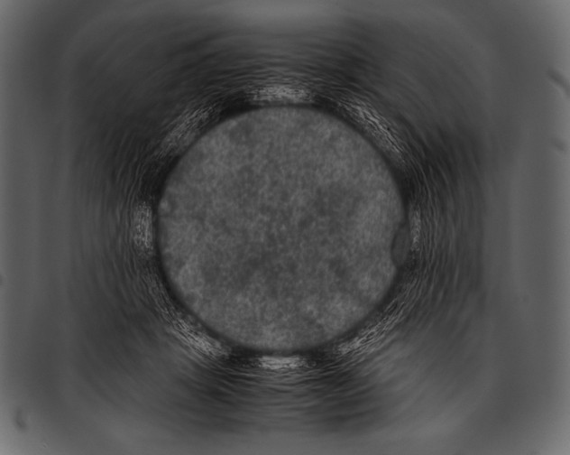 X0000097460457200803201430