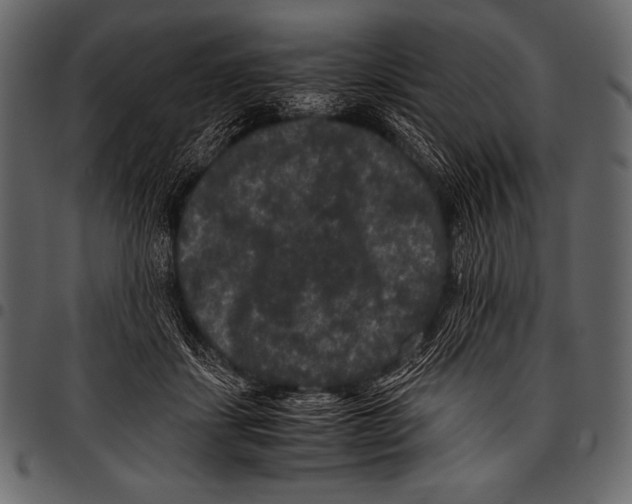 X0000097460459200803201430