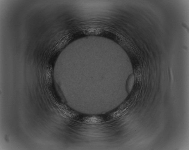 X0000097460460200803201430