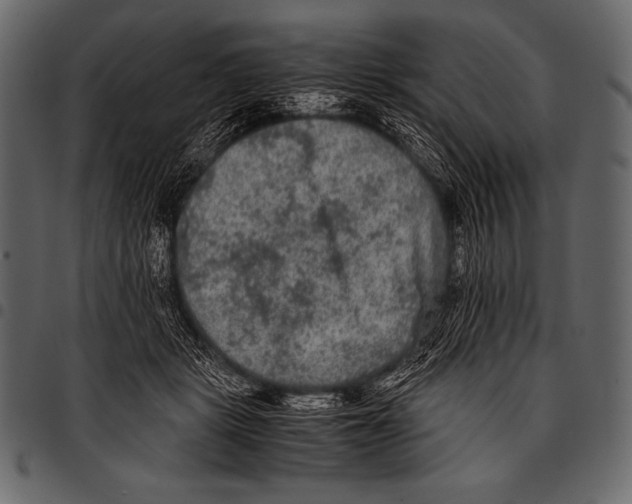 X0000097460461200803201430