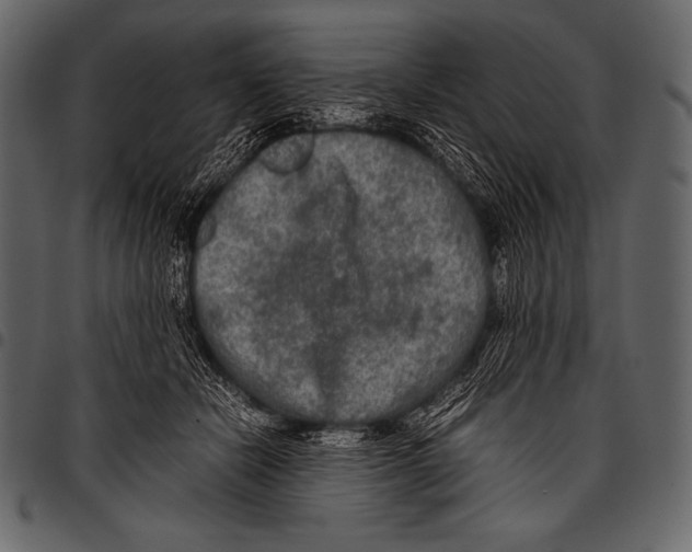 X0000097460462200803201430