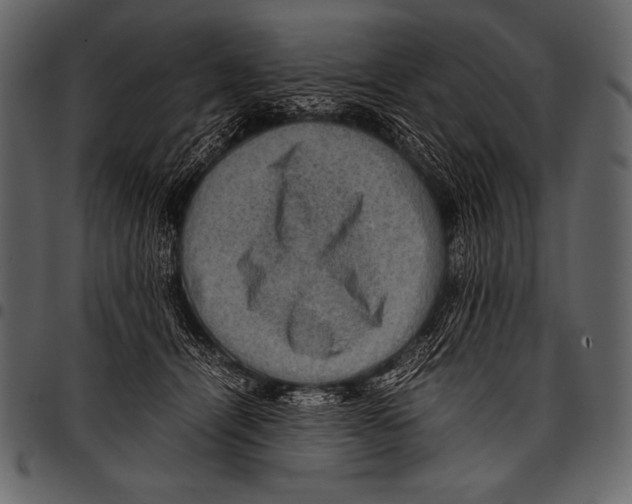 X0000097460464200803201430