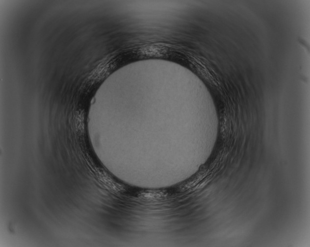 X0000097460466200803201430