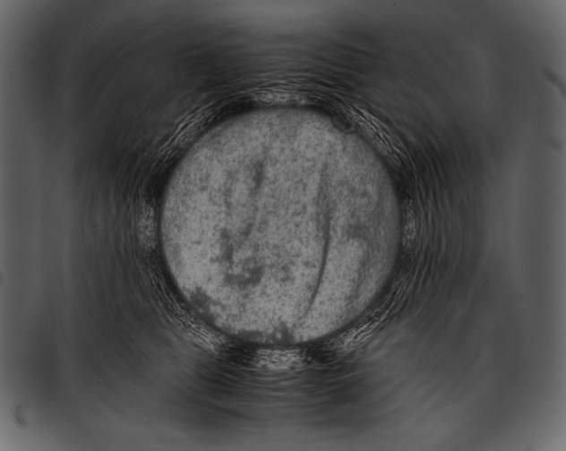 X0000097460469200803201430