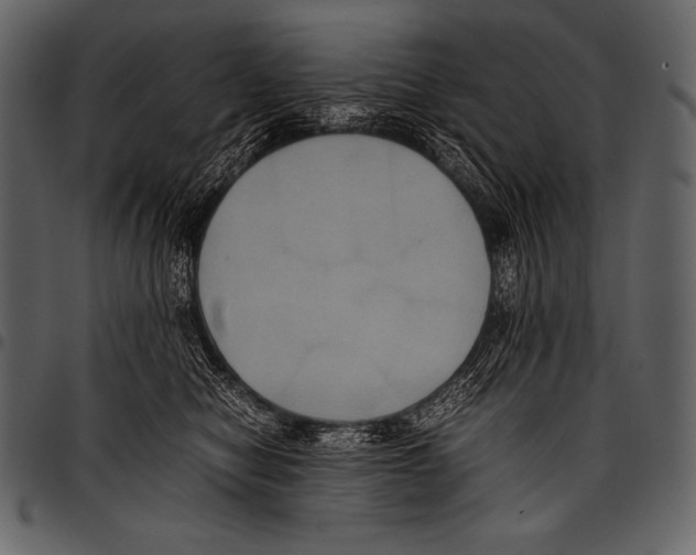 X0000097460470200803201430