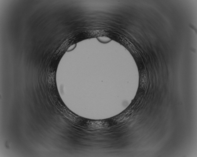 X0000097460473200803201430