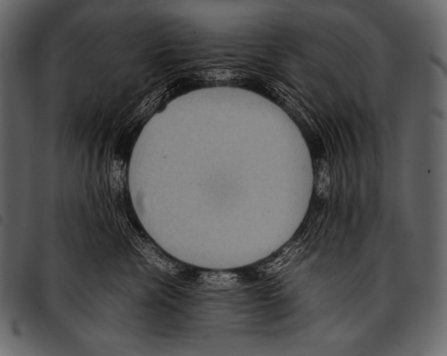 X0000097460476200803201430