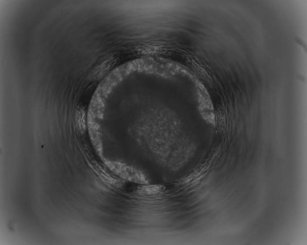 X0000097460479200803201430