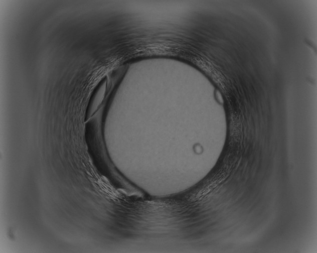 X0000097460481200803201429