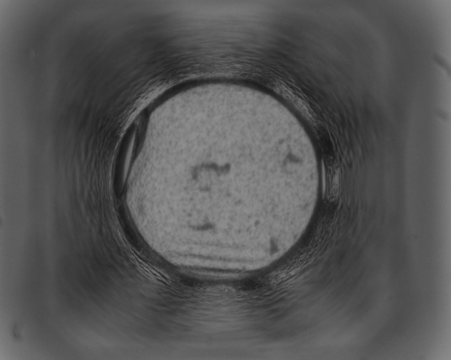 X0000097460483200803201429