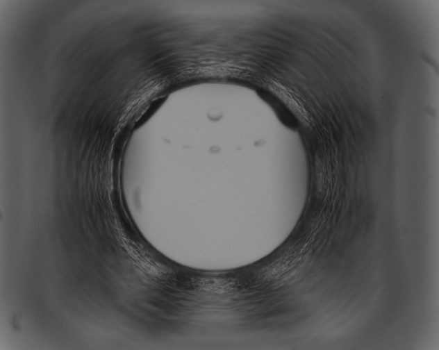 X0000097460486200803201429