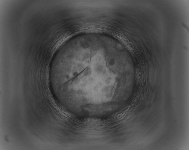 X0000097460487200803201429