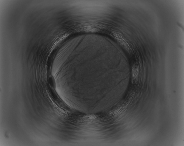 X0000097460492200803201429