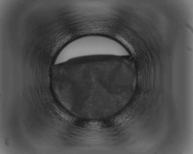 X0000097460493200803201429