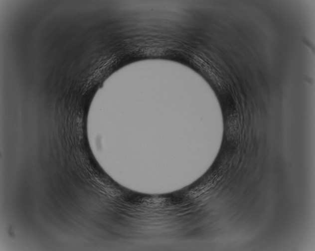 X0000097460497200803201429