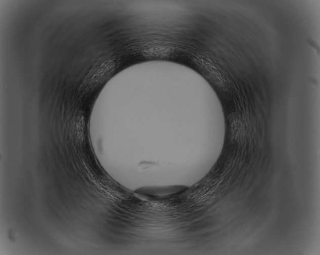 X0000097460498200803201429