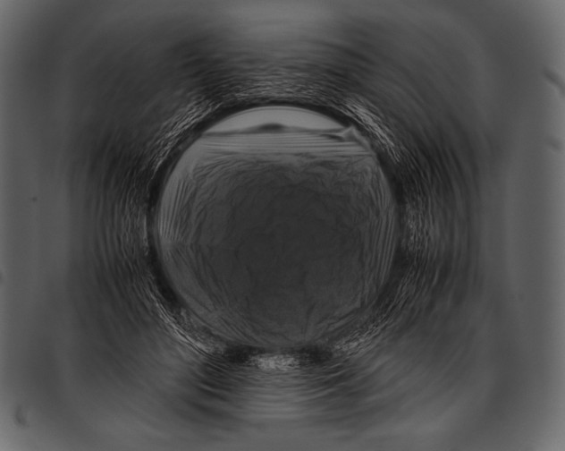 X0000097460500200803201429