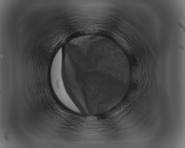 X0000097460501200803201429