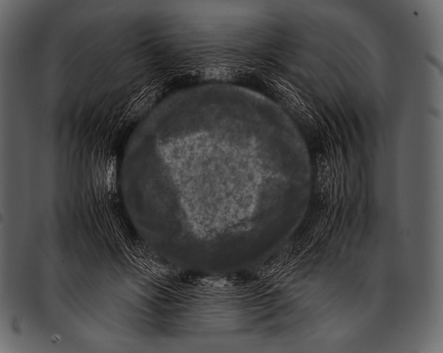 X0000097460502200803201429