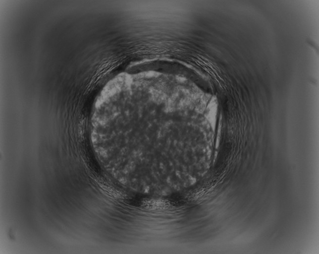 X0000097460503200803201429